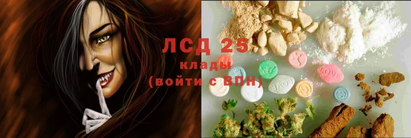 мяу мяу мука Елизово