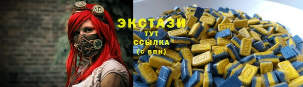 мет Ельня