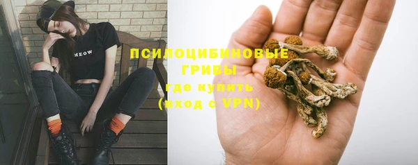 PSILOCYBIN Дмитров