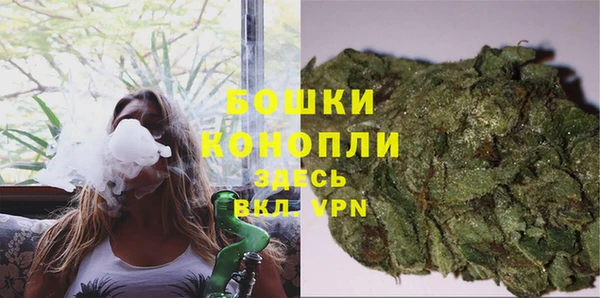 PSILOCYBIN Дмитров