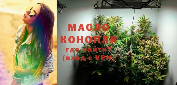 мет Ельня