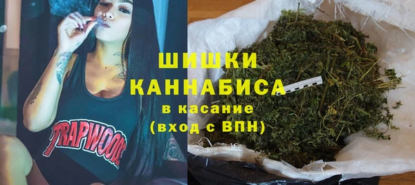 винт Дмитриев