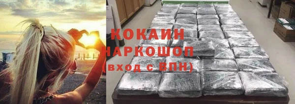 мет Ельня
